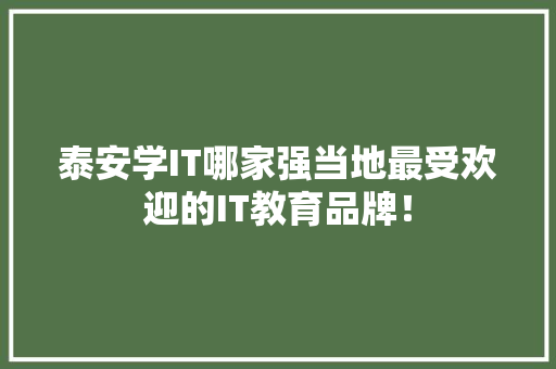 泰安学IT哪家强当地最受欢迎的IT教育品牌！ 必应SEO
