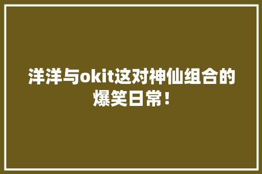 洋洋与okit这对神仙组合的爆笑日常！ 必应SEO