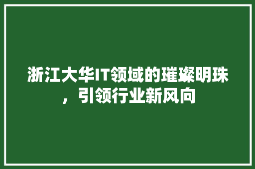 浙江大华IT领域的璀璨明珠，引领行业新风向 必应SEO