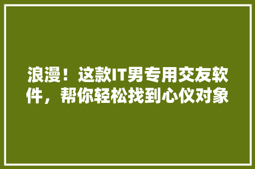 浪漫！这款IT男专用交友软件，帮你轻松找到心仪对象 网站建设公司