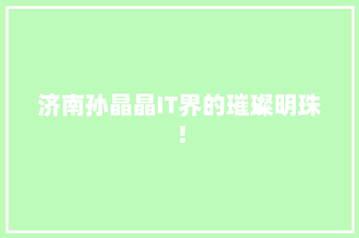 济南孙晶晶IT界的璀璨明珠！ 搜狗SEO