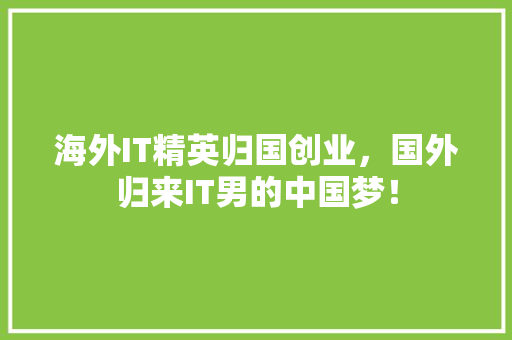 海外IT精英归国创业，国外归来IT男的中国梦！ SEO关键词