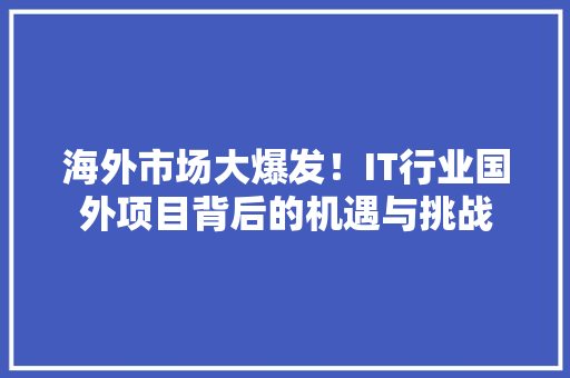 海外市场大爆发！IT行业国外项目背后的机遇与挑战 SEO关键词