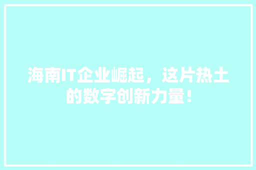 海南IT企业崛起，这片热土的数字创新力量！ SEO关键词