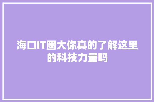 海口IT圈大你真的了解这里的科技力量吗 必应SEO