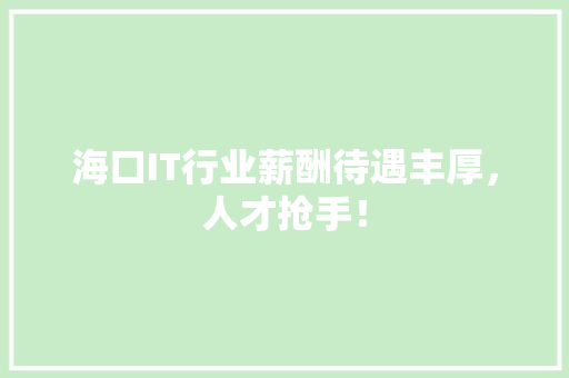 海口IT行业薪酬待遇丰厚，人才抢手！ 网站建设公司