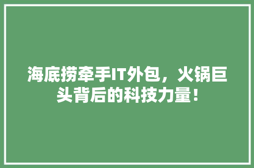 海底捞牵手IT外包，火锅巨头背后的科技力量！ 必应SEO