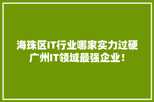 海珠区IT行业哪家实力过硬广州IT领域最强企业！ SEO关键词