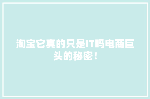 淘宝它真的只是IT吗电商巨头的秘密！ 网站建设公司