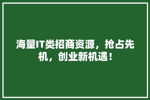 海量IT类招商资源，抢占先机，创业新机遇！ 搜狗SEO