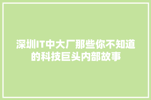 深圳IT中大厂那些你不知道的科技巨头内部故事 SEO关键词