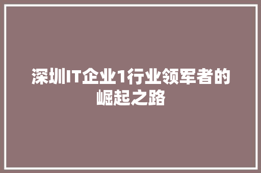 深圳IT企业1行业领军者的崛起之路 SEO关键词