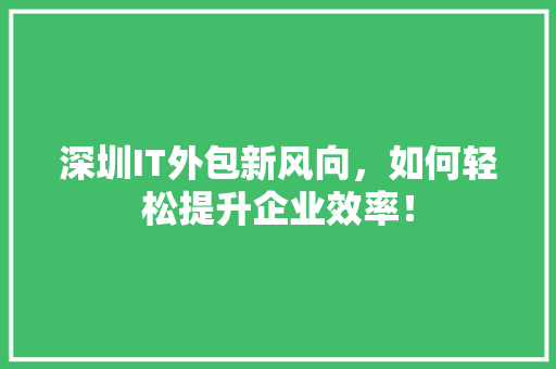深圳IT外包新风向，如何轻松提升企业效率！ 神马SEO