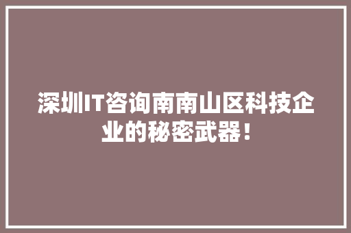 深圳IT咨询南南山区科技企业的秘密武器！