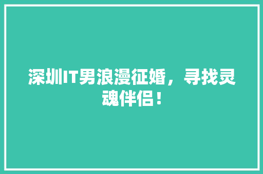 深圳IT男浪漫征婚，寻找灵魂伴侣！ 神马SEO
