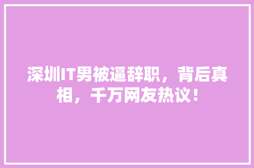 深圳IT男被逼辞职，背后真相，千万网友热议！ 网站建设公司