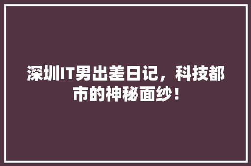 深圳IT男出差日记，科技都市的神秘面纱！ 网站建设公司