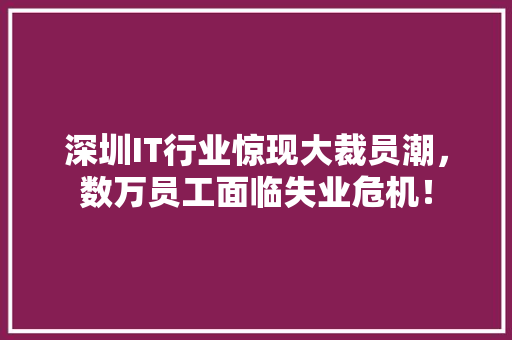 深圳IT行业惊现大裁员潮，数万员工面临失业危机！ 必应SEO