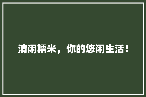 清闲糯米，你的悠闲生活！
