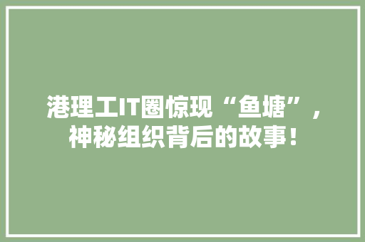 港理工IT圈惊现“鱼塘”，神秘组织背后的故事！ 必应SEO