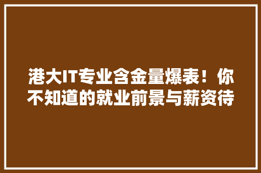 港大IT专业含金量爆表！你不知道的就业前景与薪资待遇！ 网站建设公司