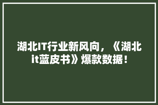 湖北IT行业新风向，《湖北it蓝皮书》爆款数据！ 必应SEO