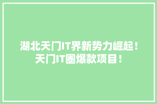 湖北天门IT界新势力崛起！天门IT圈爆款项目！ 百度SEO