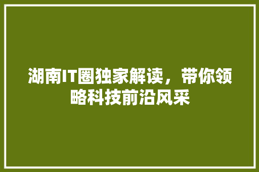 湖南IT圈独家解读，带你领略科技前沿风采 SEO关键词