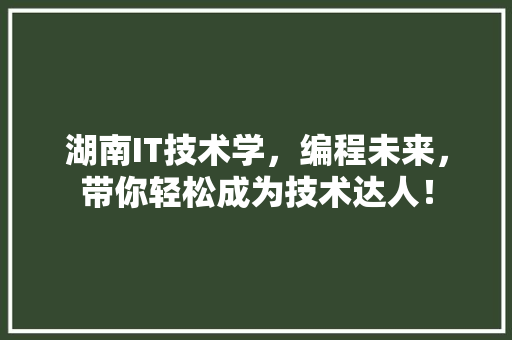 湖南IT技术学，编程未来，带你轻松成为技术达人！ SEO关键词