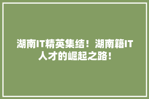 湖南IT精英集结！湖南籍IT人才的崛起之路！ 必应SEO