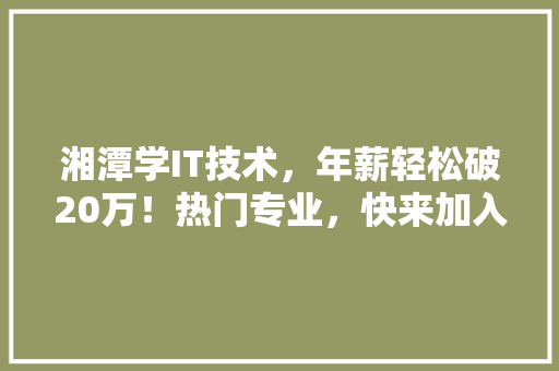 湘潭学IT技术，年薪轻松破20万！热门专业，快来加入我们！ 必应SEO