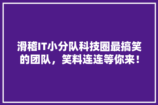 滑稽IT小分队科技圈最搞笑的团队，笑料连连等你来！ 必应SEO