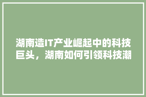 湖南造IT产业崛起中的科技巨头，湖南如何引领科技潮流 必应SEO