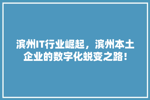 滨州IT行业崛起，滨州本土企业的数字化蜕变之路！ 网站建设公司