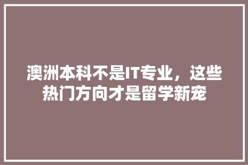 澳洲本科不是IT专业，这些热门方向才是留学新宠 必应SEO