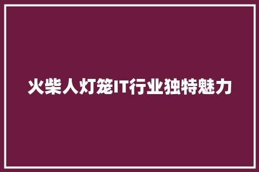 火柴人灯笼IT行业独特魅力 SEO关键词