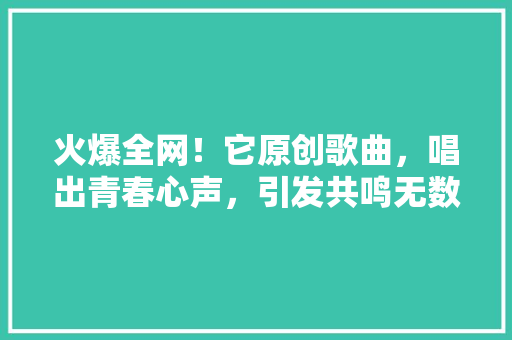 火爆全网！它原创歌曲，唱出青春心声，引发共鸣无数 必应SEO