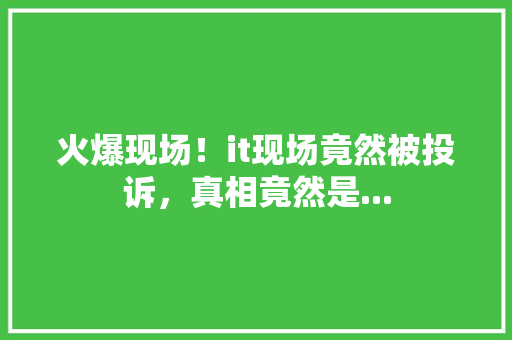 火爆现场！it现场竟然被投诉，真相竟然是... 神马SEO
