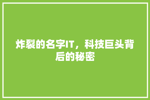 炸裂的名字IT，科技巨头背后的秘密 神马SEO