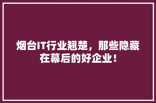 烟台IT行业翘楚，那些隐藏在幕后的好企业！ 百度SEO