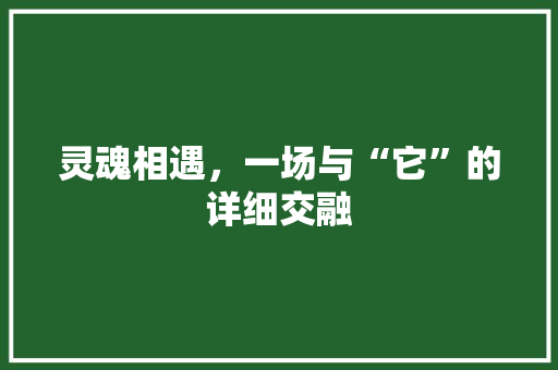 灵魂相遇，一场与“它”的详细交融 神马SEO