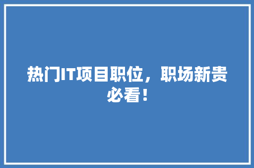 热门IT项目职位，职场新贵必看！ 网站建设公司