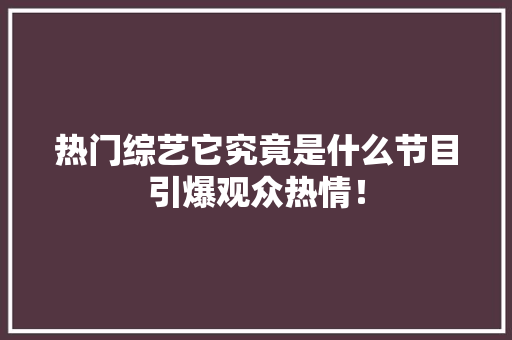 热门综艺它究竟是什么节目引爆观众热情！ 网站建设公司
