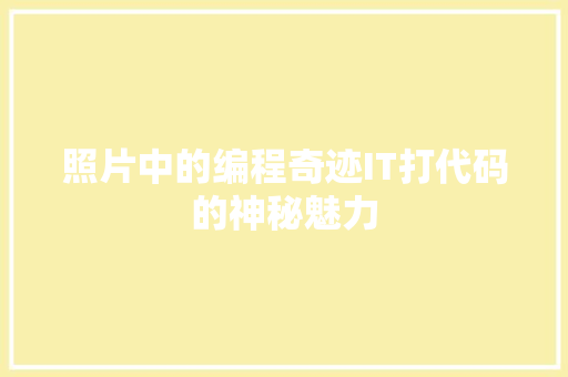 照片中的编程奇迹IT打代码的神秘魅力 SEO关键词