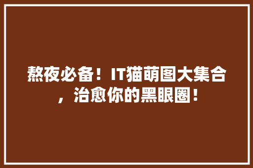 熬夜必备！IT猫萌图大集合，治愈你的黑眼圈！ SEO关键词