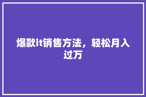 爆款it销售方法，轻松月入过万 百度SEO