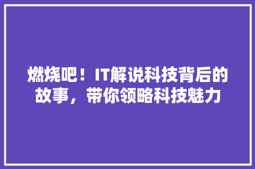 燃烧吧！IT解说科技背后的故事，带你领略科技魅力 必应SEO