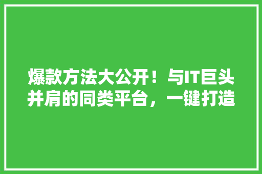 爆款方法大公开！与IT巨头并肩的同类平台，一键打造公众号阅读狂潮 SEO关键词