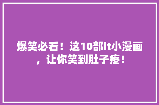 爆笑必看！这10部it小漫画，让你笑到肚子疼！ SEO关键词
