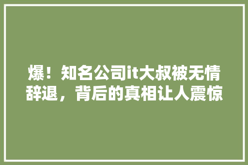 爆！知名公司it大叔被无情辞退，背后的真相让人震惊！ 必应SEO